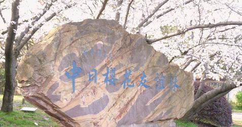 我国暂停中日地方友好活动，引起外界关注，日本深感遗憾。3月20日，日本民间团