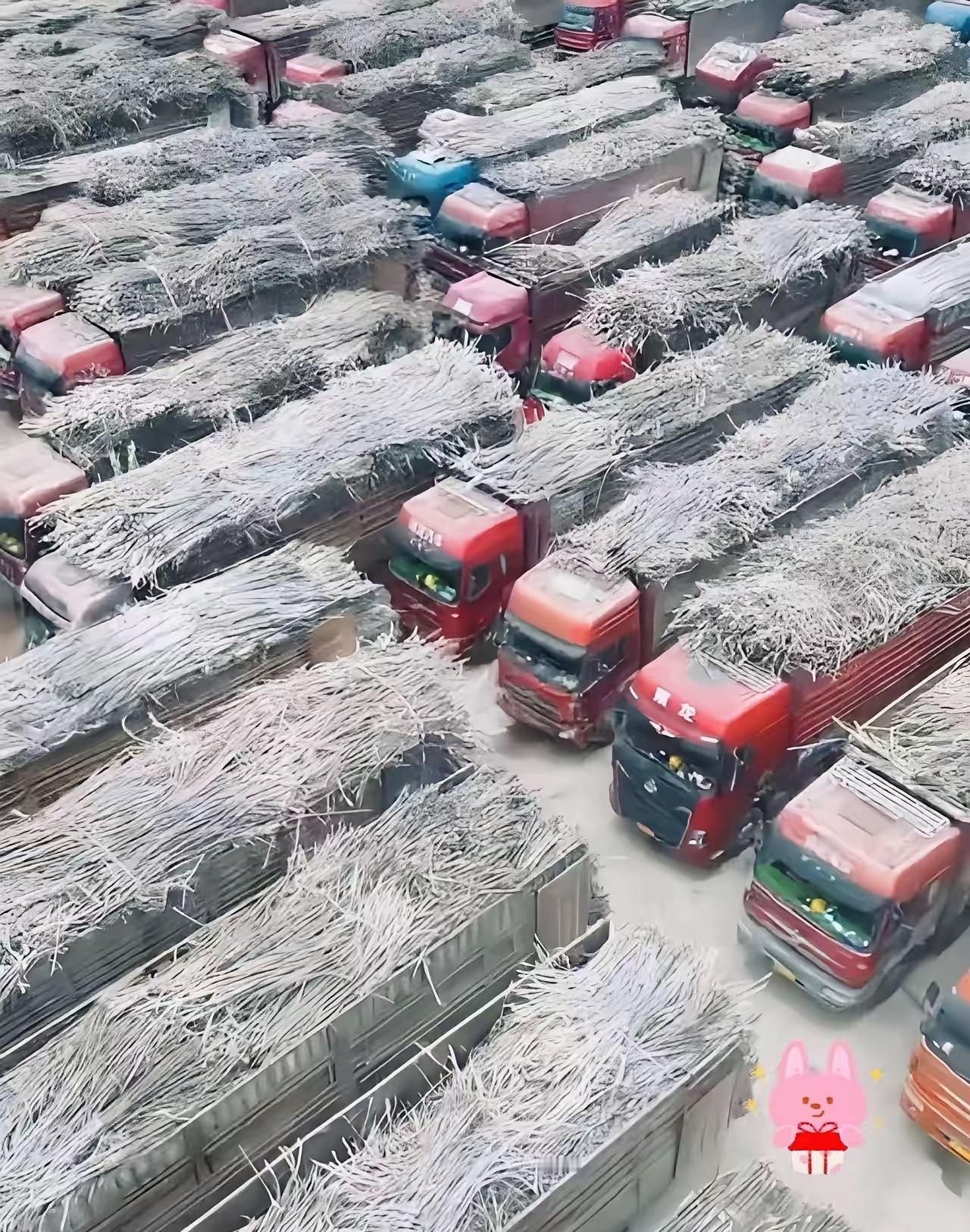 看到耀明糖厂停机的消息，真是把人性里的那点恶劣扒得干干净净。​一家敞开大门承诺