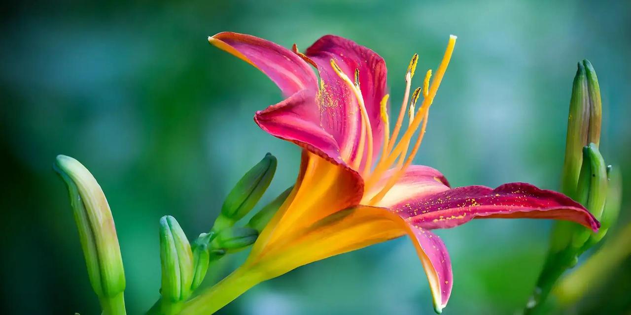 属猴的朋友们，今天运气真不错，钱包鼓起来的机会多多，好事一桩接一桩！工作上脑子转