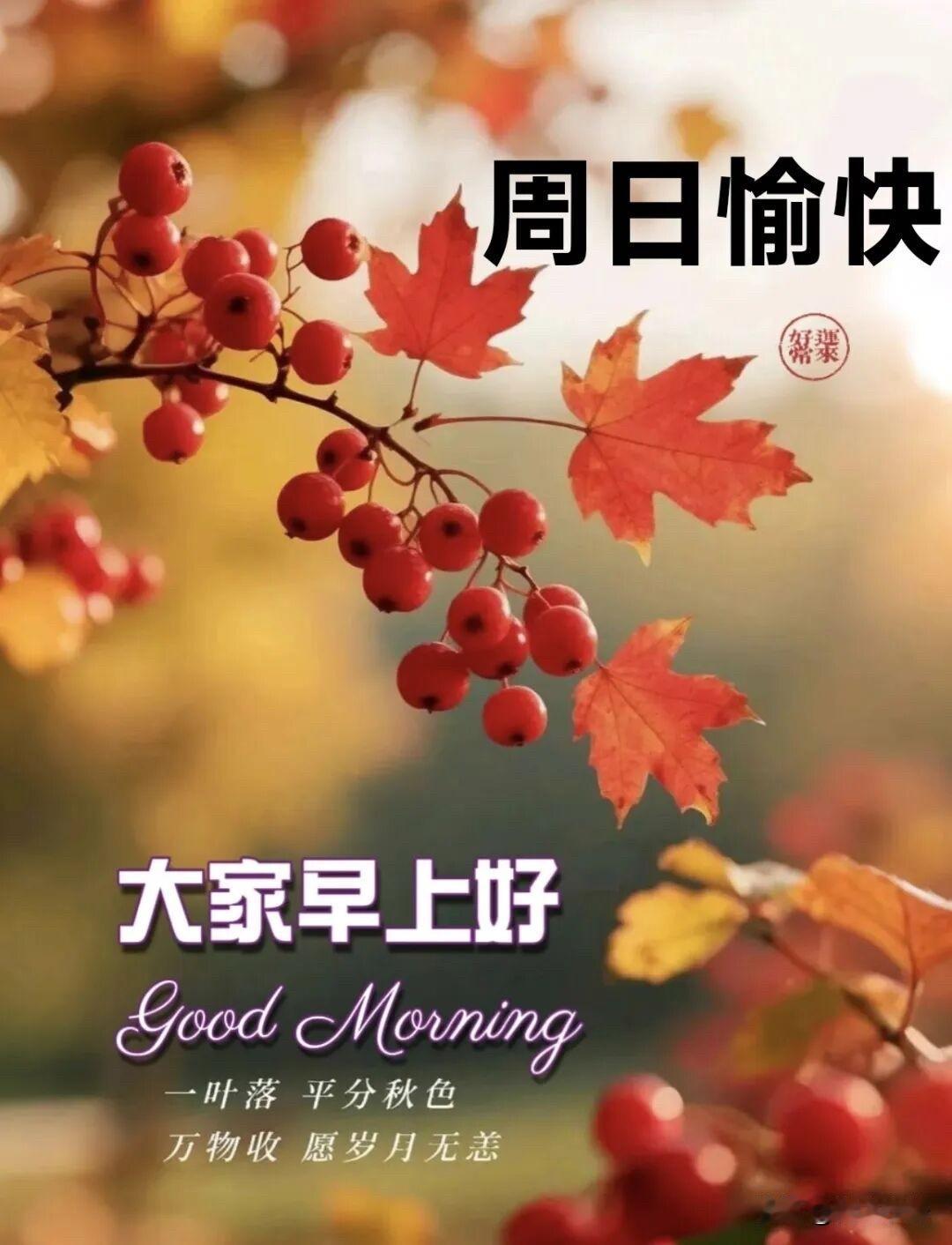 🍒²⁰²⁶/₁₀.₀₄ᵕ̈🍂早安｜愿秋光温柔☕️🍒🍑晨雾浮在半空，