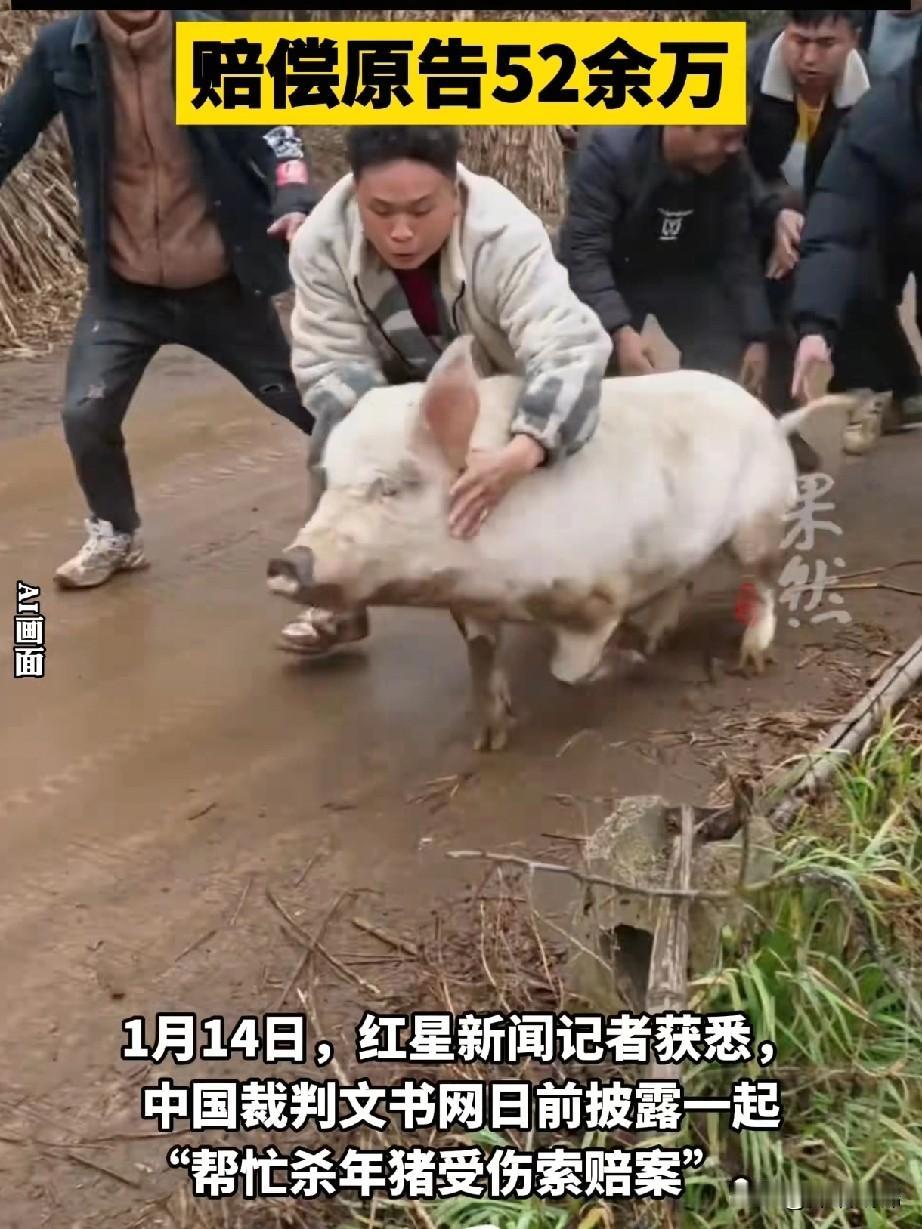 太危险了！合川呆呆妹看了这个新闻一定会后背发凉！原来请人帮忙按猪也是一件风险很大
