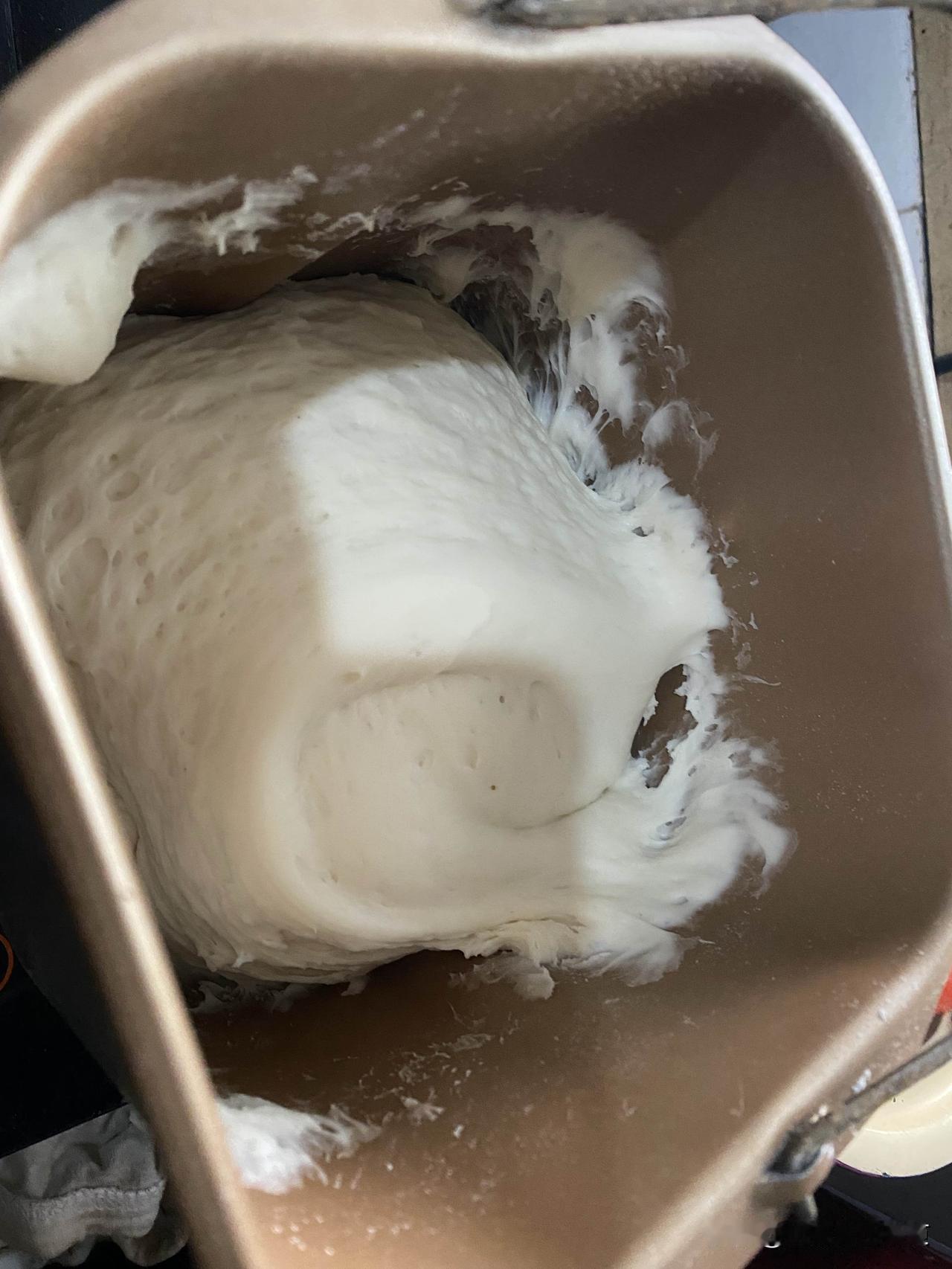 大部分南方人做面食基本就是一项大工程吧[捂脸哭]昨天下午我300克面粉的包子，耗