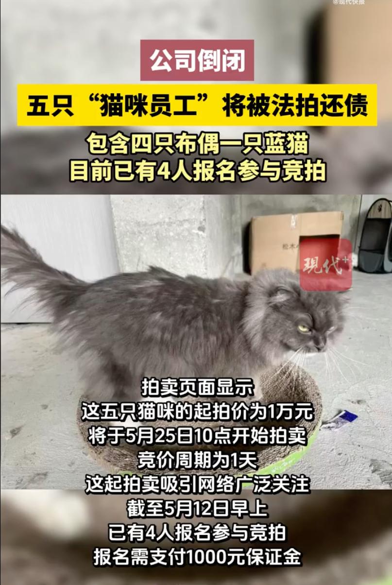 “太唏嘘了！”福建南平，一家公司因负债不幸倒闭。万万没想到，平时专门在公司里给员