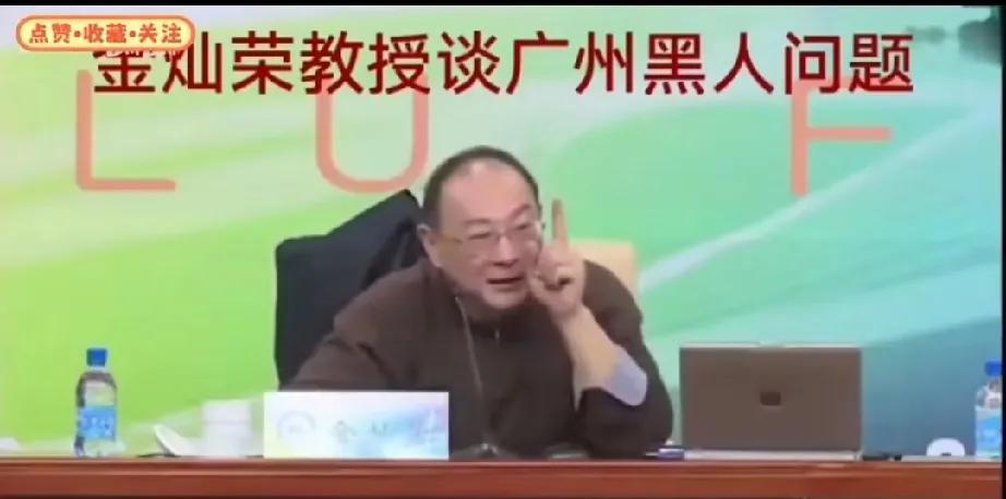 金灿荣:广州黑人问题，必须要高度重视起来！金灿荣教授在一次讲座上讲到非法移民问