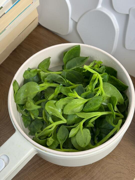 清郁热➕去内火 ，一碗凉拌菜简单搞定！！