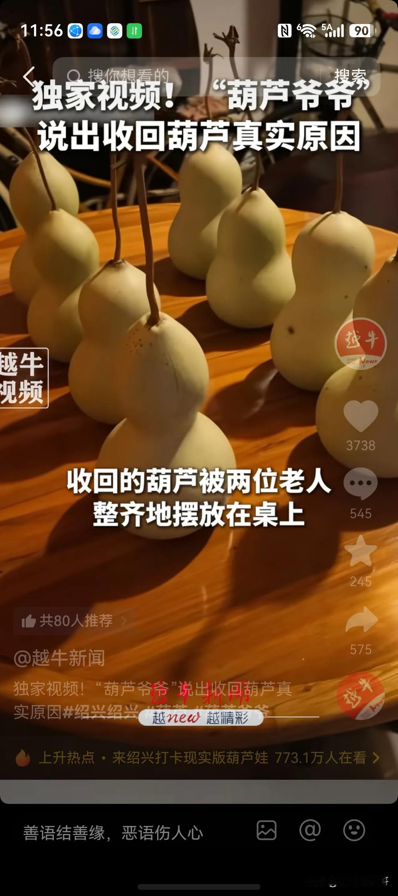 绍兴河畔7个葫芦在9月5晚8点剪下了。剪下就对了！爷爷接受了记者的采访，