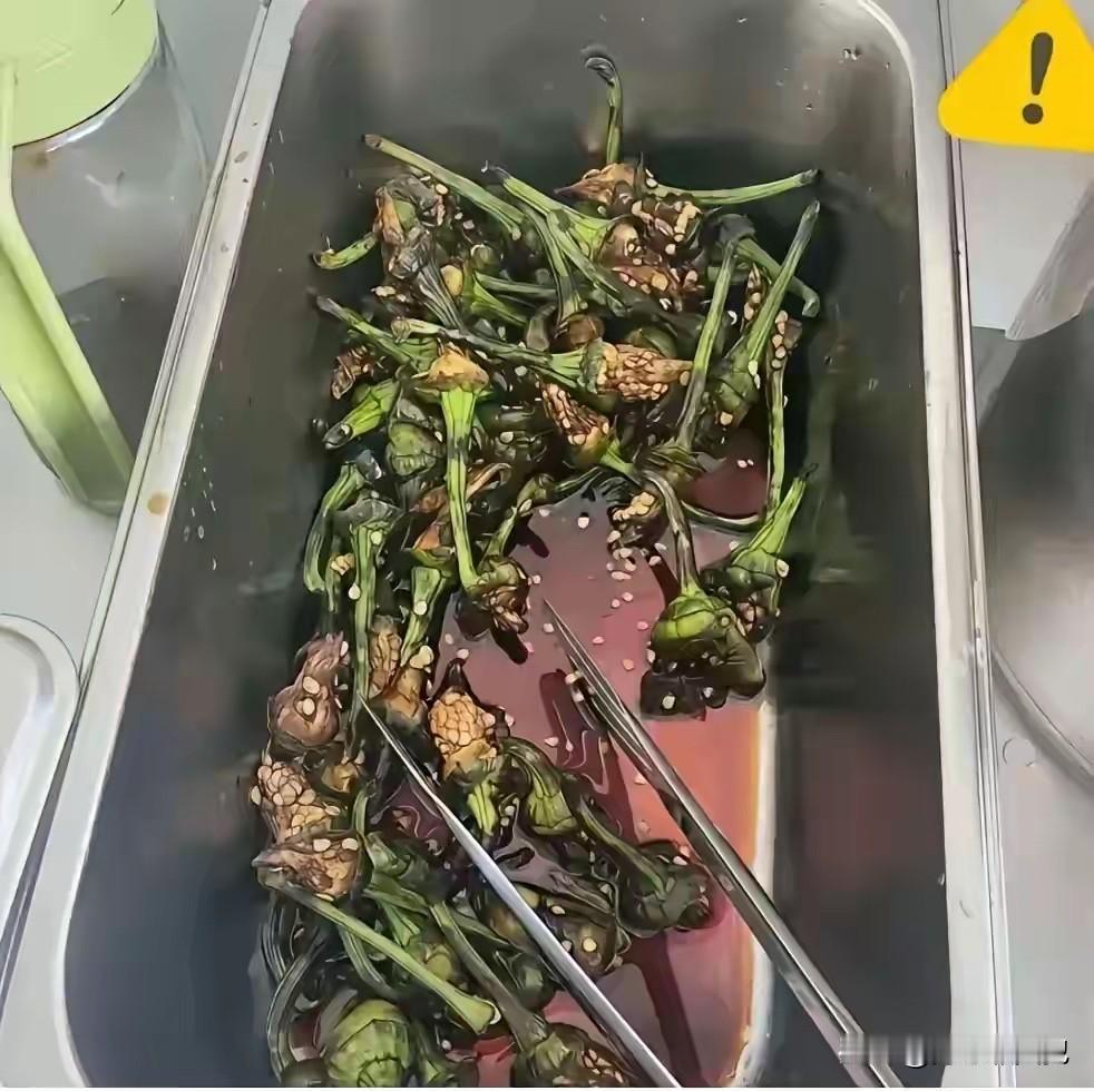 第一次见这样的凉拌菜，刷新了我的认知！凉拌食谱凉拌菜家常教程凉拌小菜凉拌家