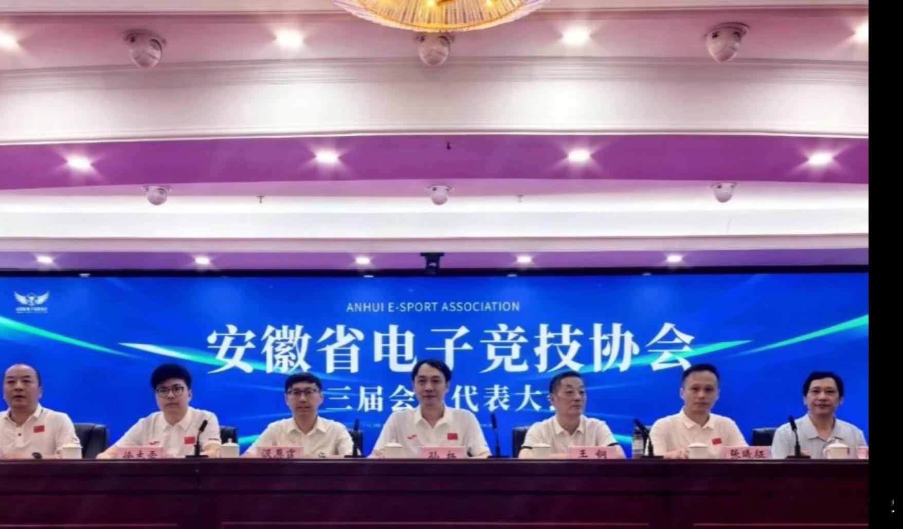 原来b神真升官了啊，去年就当上了安徽省电子竞技协会理事会会长！dota2​​​