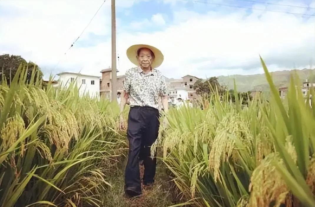 1938年，有位铁路局科长，卖掉老房子，拿出全部家当，打了580把大刀，用身份做