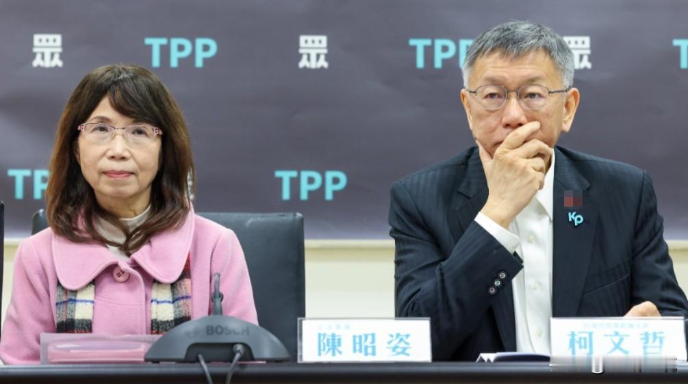 陈昭姿留任余波未了！民众党团委员会人选被打乱民众党不分区第9到16名依序为，