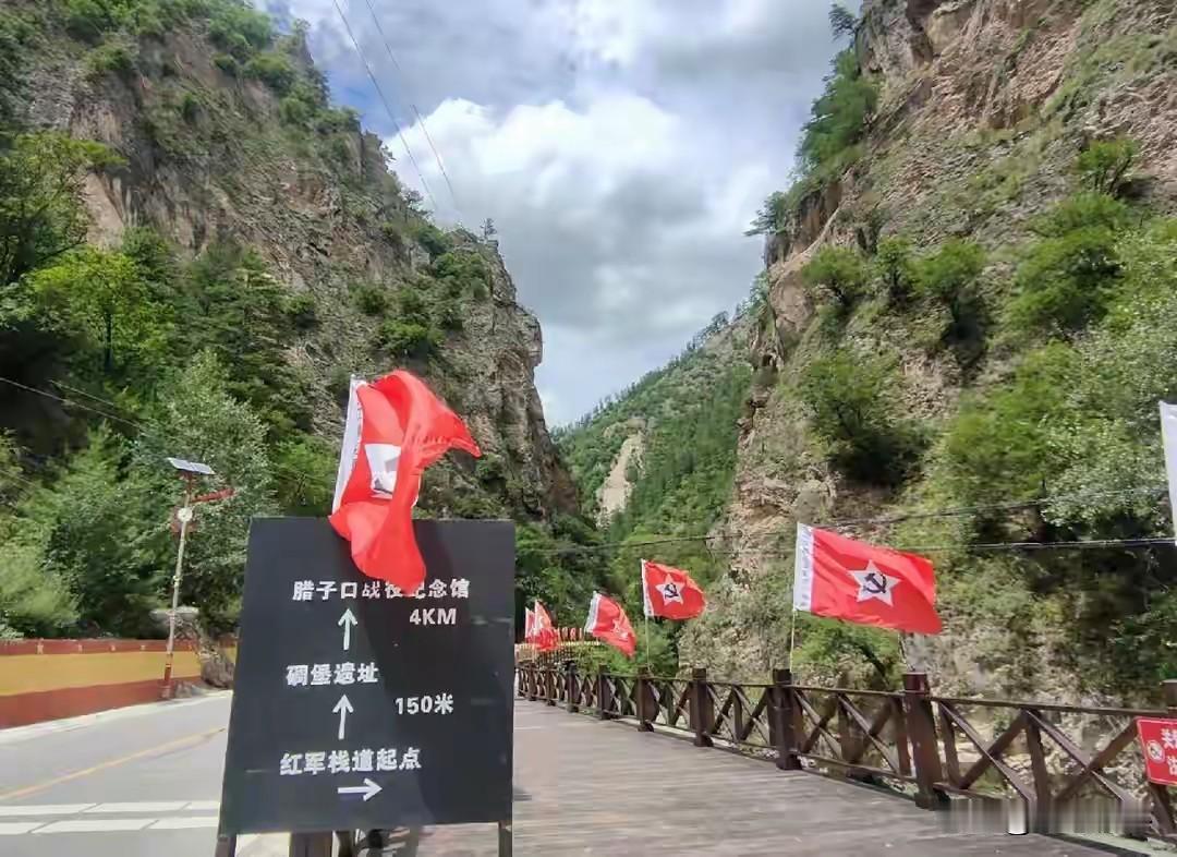 腊子口：这一仗打输，中国革命可能就此改写长征中最关键一仗，聂荣臻：输了就没