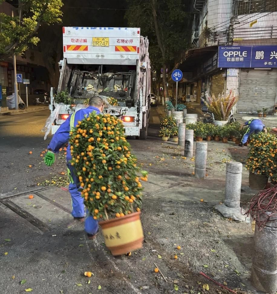 真的惊呆了，过年花市卖不完的花居然全被直接扔掉了！前几天好多人去问价，老板一分钱