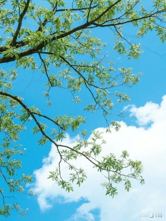 要想身体好，其实很简单，做好这三个动作：第一常闭眼，用眼过度，会大量消耗