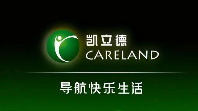 雷军曾看好的国产导航之光,为何沦为资本弃子?