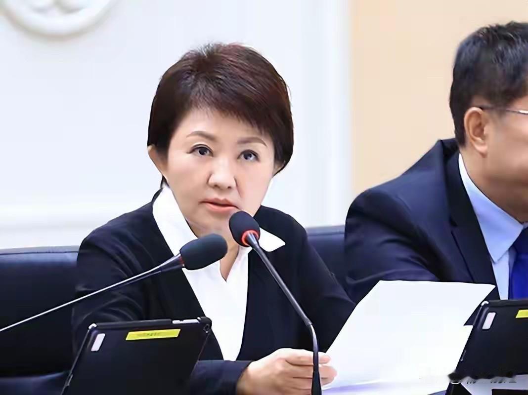 卢秀燕已经成为2028台湾地区领导人选举热门候选人，岛内大量蓝营群体发起劝进造势