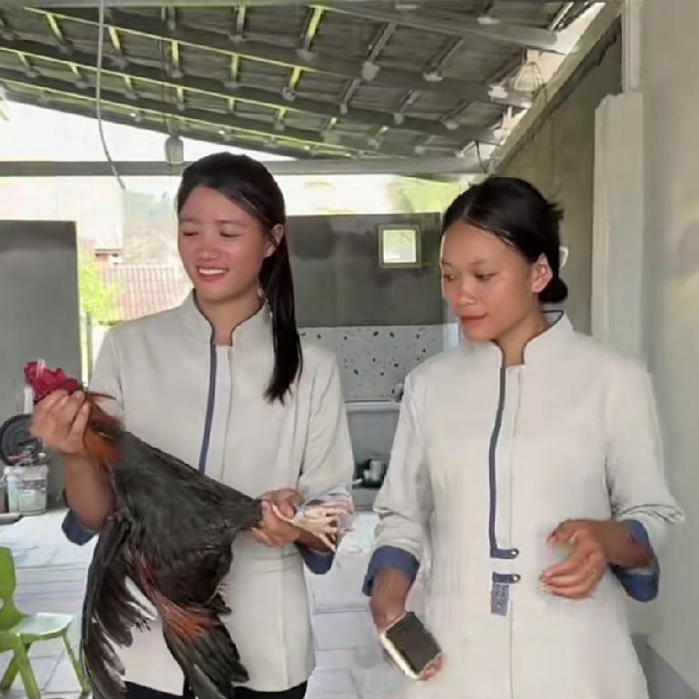 小胖墩和阿水在老挝盖房子，他们盖的是民宿。三层楼的民宿现在已经完工。民宿开始进