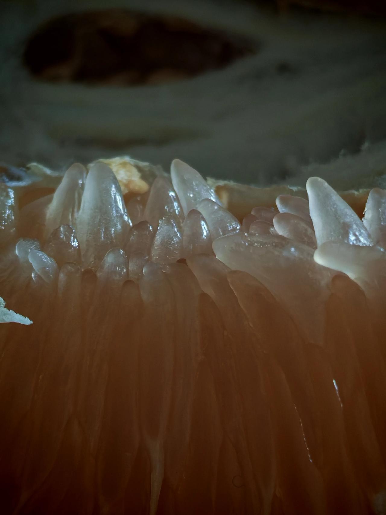 当今社会有10大现象：你中几个？1.现金，没人用了。现在出去买点东西，都用