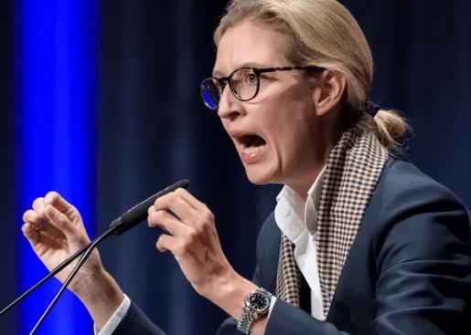 骂战发酵48小时!冯德莱恩硬刚魏德尔,欧盟内部炸锅,美国急着“灭火”?上周末