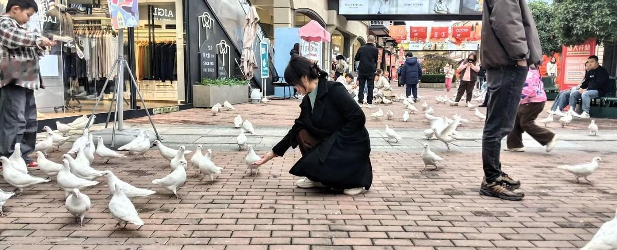 临潼奥莱逛了一整天，就拎回一条打折裤子。我和老公开车四十分钟过去，想着秋冬外套