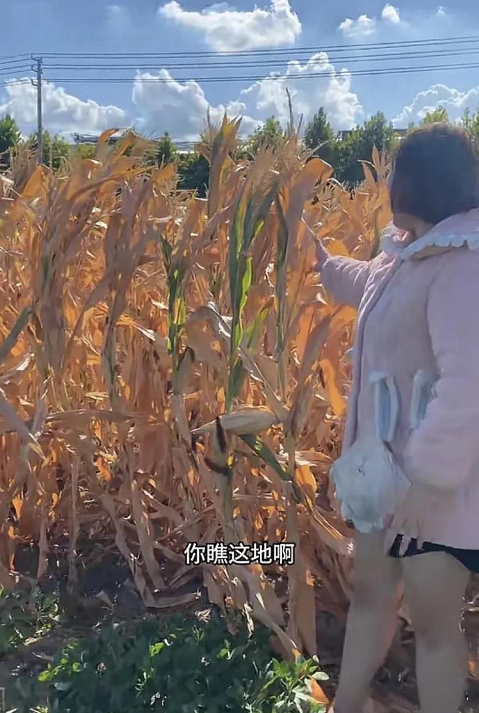 河南今年的干旱有多么严重，有老人说这事要是发生在过去，河南人早就收拾收拾东西去外