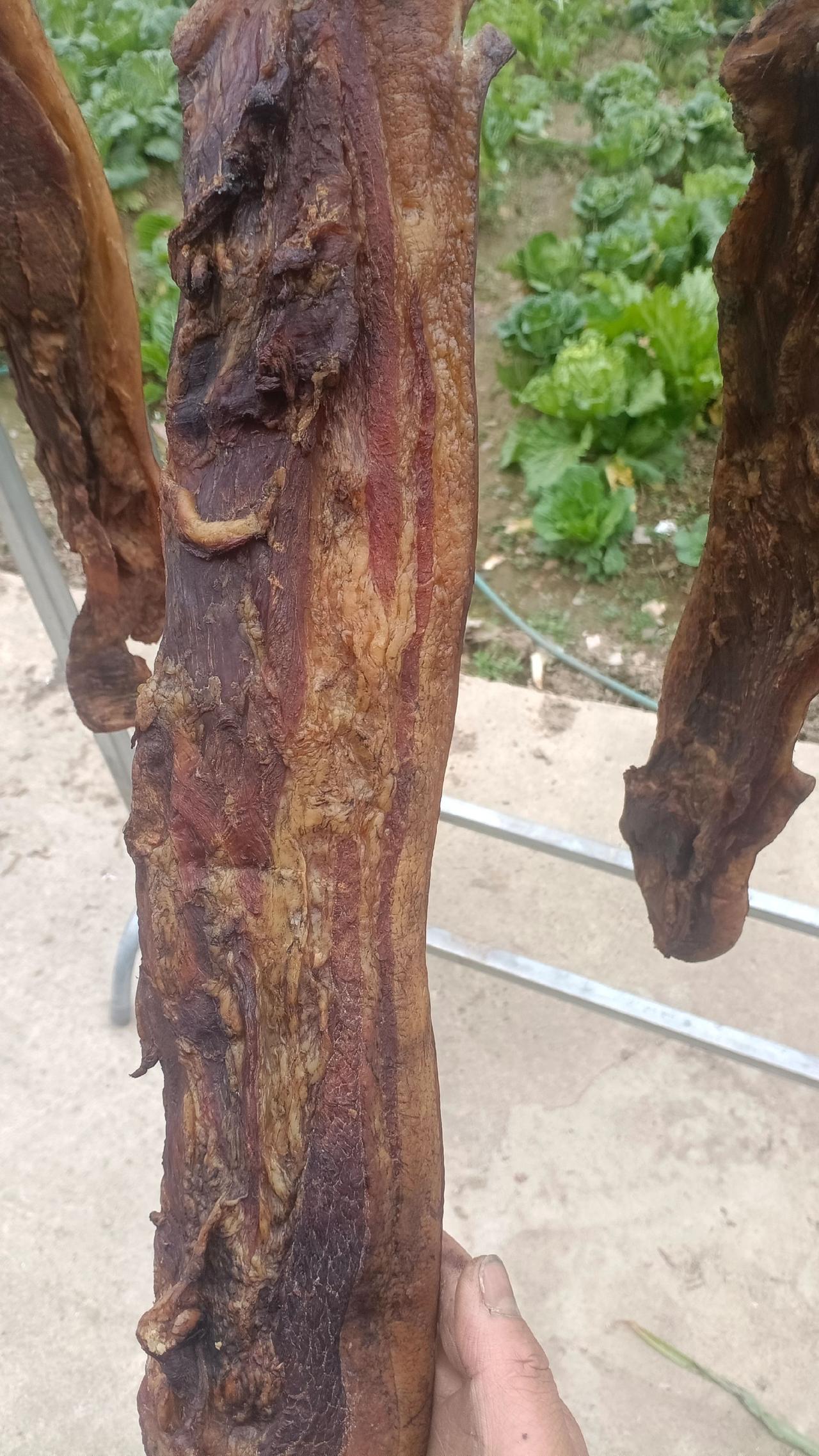 今年的腊肉出来了