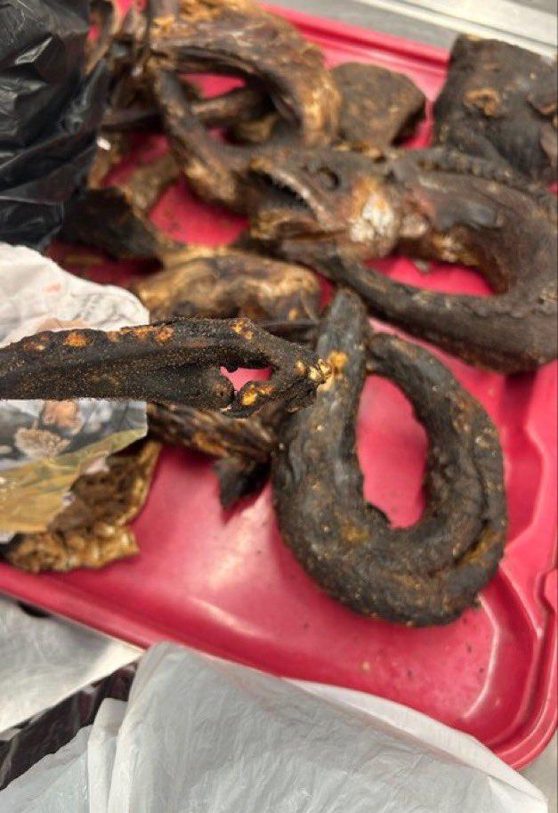 芝加哥奥黑尔机场将一名旅客的行李转介至农业二级海关进行检查。海关人员在行李中发现