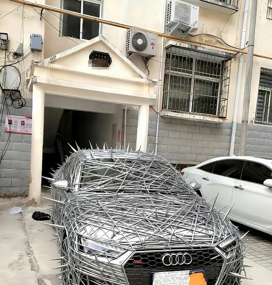 这下没有人敢碰瓷了吧