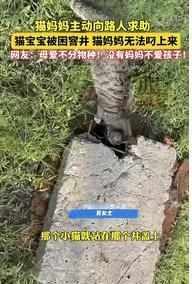“真成精了？”9月22日山东一女子去公园遛狗时，突然听到有猫咪朝她叫了两声，女子