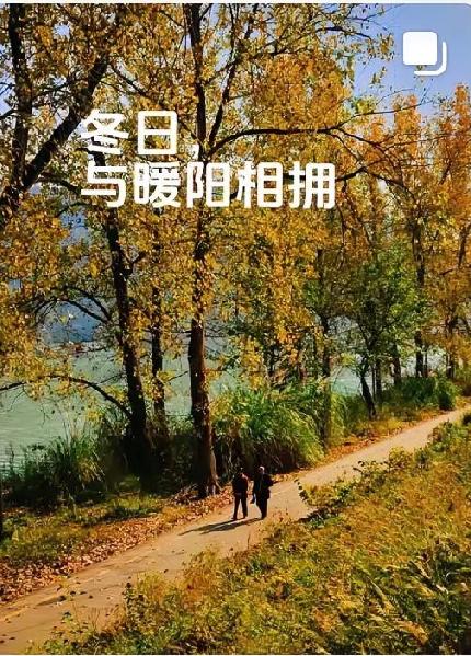 天冷了，高血压朋友要避开这些行为！张文宏教授特别强调：与其闷在家里，不如出门走走