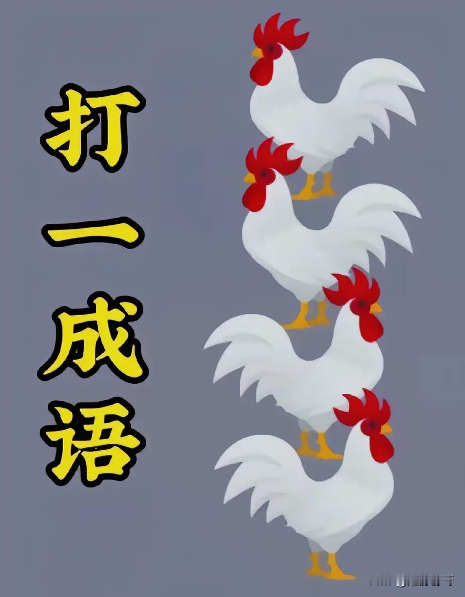 老公说这个成语就是四只公鸡，我真的无语了，我觉得他就是乱说的，朋友们，你们说说，