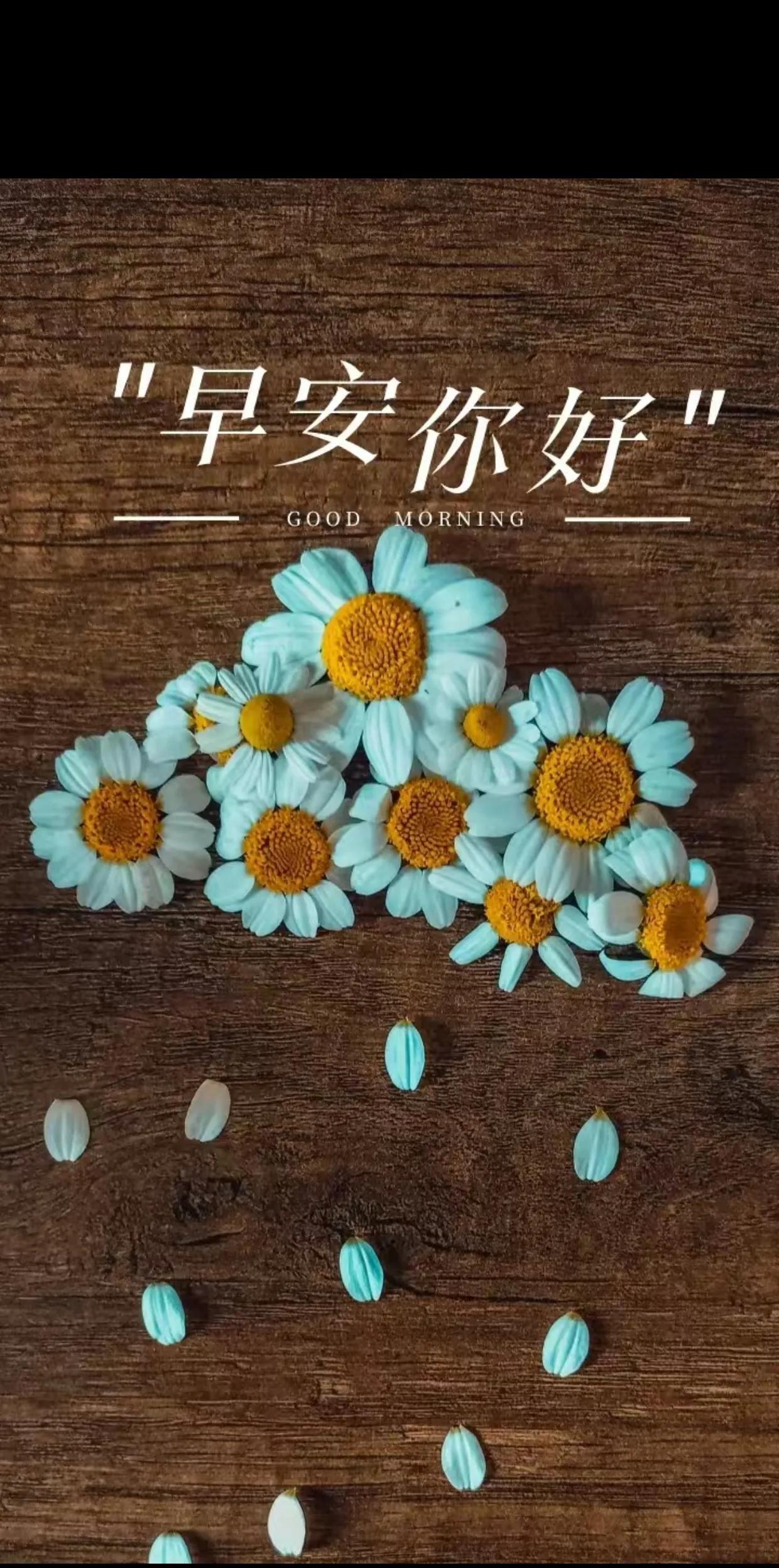 以前有人说：劝人学医，天打雷劈。现在学医当医生是许多人追求的工作，每年医科大学的