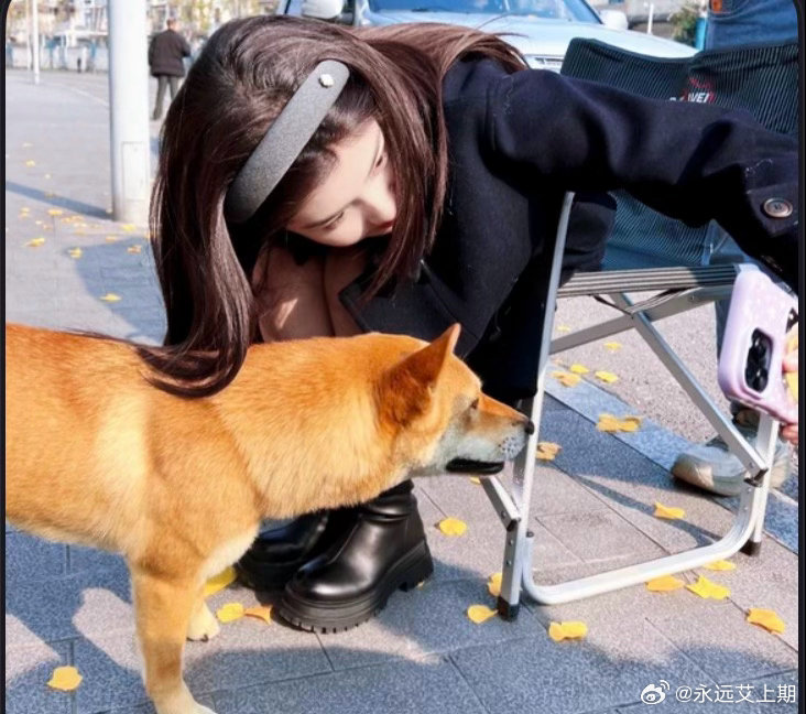 #艾米#🐇#米有物料啦#米の产出今日一期阳光少女​