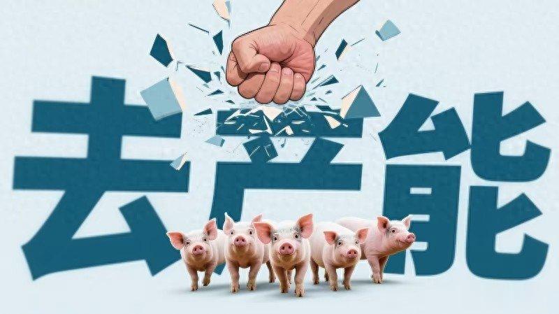逻辑变了! 从散户养猪到资本养猪…这轮生猪去产能会有多难?