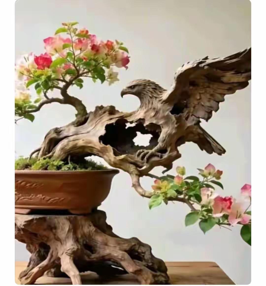 看照片高手在民间啊…大爷捡树根树桩做盆景让本来已经废弃的树桩“枯木逢春”…