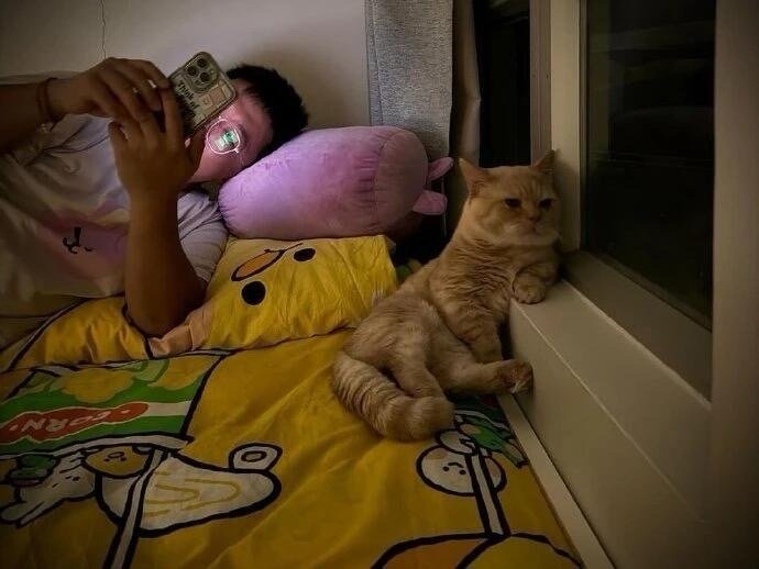别光顾着玩手机，而冷落了小猫咪​​​