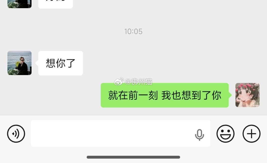 我是不会孤单的