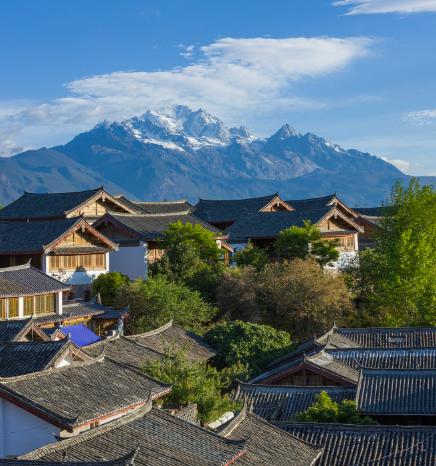 今天咱们聊一所特别实在的大学——云南大学。为什么说它实在？2025年，云南大学