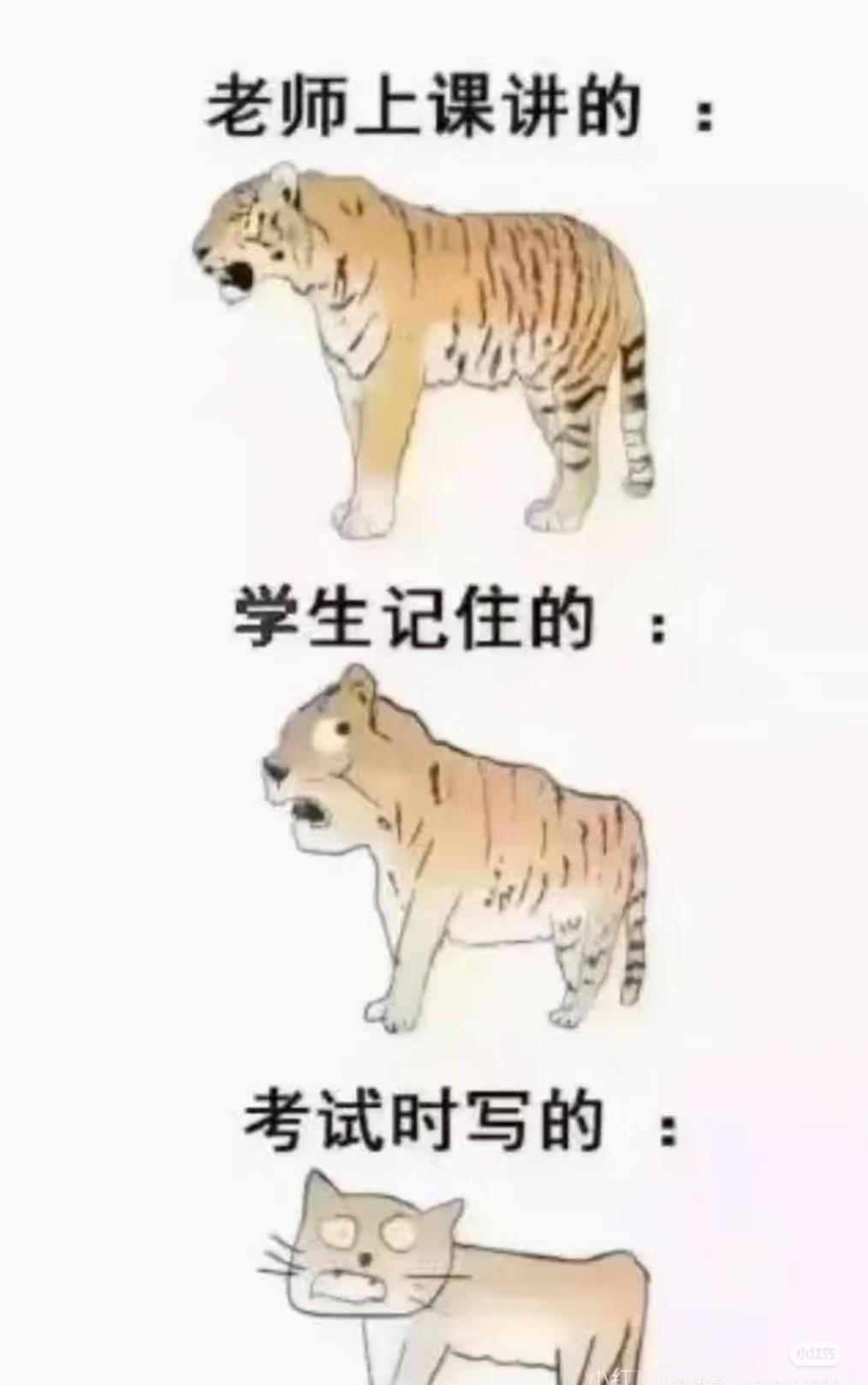 梗图爆料本人最近的精神状态此图有梗梗图人间真实离谱但合理图片仅供娱乐