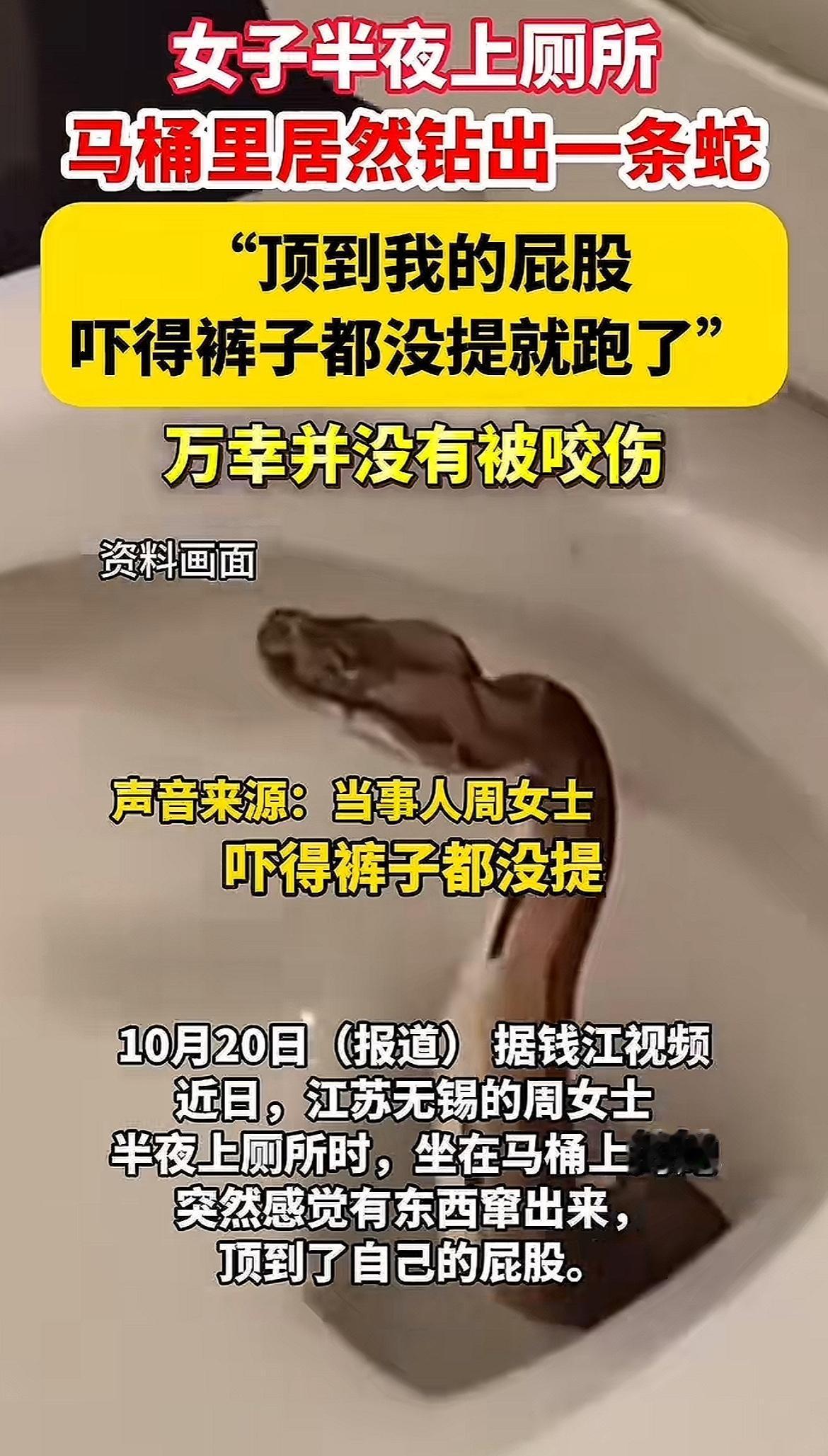 江苏无锡的周女士可真是倒了大霉。半夜上厕所，刚坐在马桶上，就感觉有东西窜出来顶到