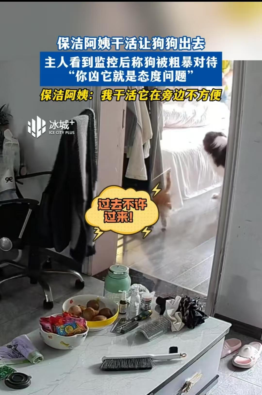 上海，保洁阿姨让狗狗出去，好方便打扫卫生，结果被主人辞退了。保洁阿姨满是委屈：我