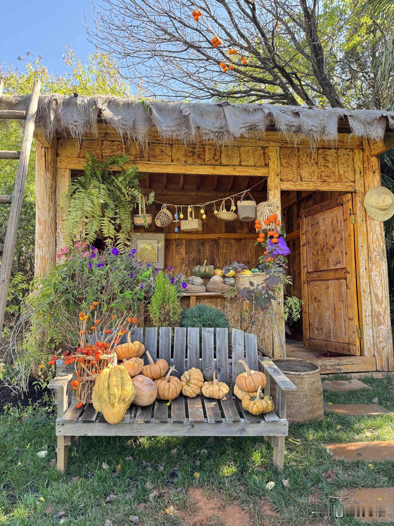 丽江私藏！本地人都不知道的雪山咖啡店太绝了☕️来丽江别再挤大研古城啦！挖