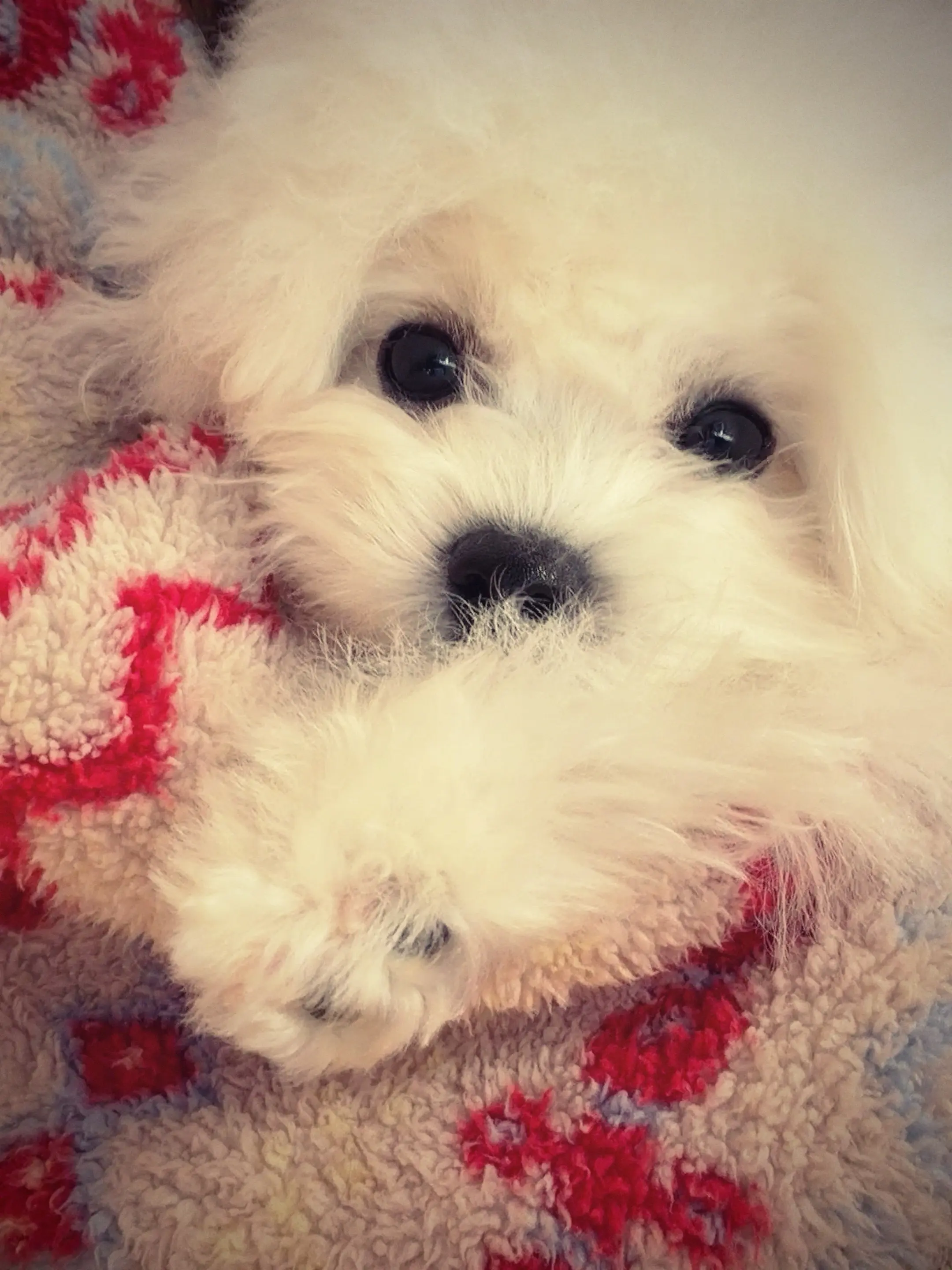 🎧₊*相机喜欢镜头里的每个故事⁺