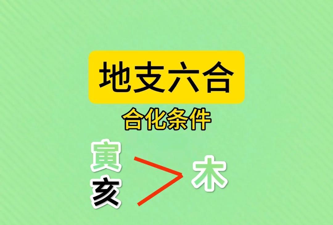 《地支六合~寅亥合木解析》地支六合中的“寅亥合木”是十二地支相合关系的一种，主