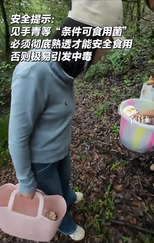 “笑不活了”，两名游客上山捡了一篮子菌子，碰到一位当地阿姨，便请她帮忙看看哪些能