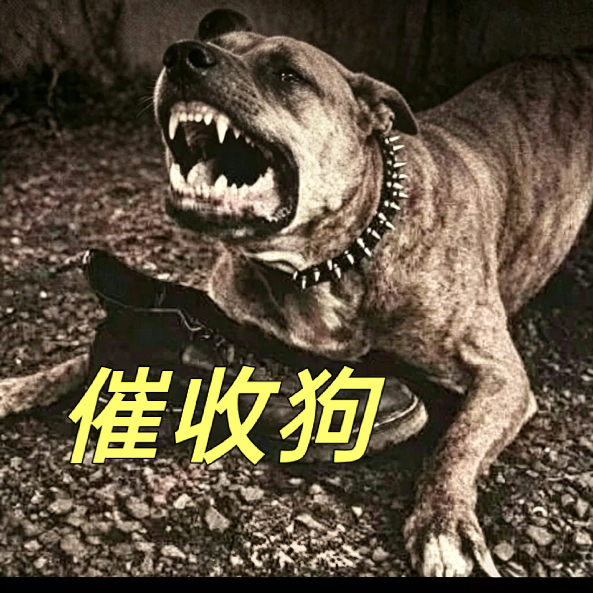 网贷涉黑、软暴力催收｜举报渠道（电话+线上，按优先级排序）软暴力认定：爆通讯录、短信电话轰炸、P图侮