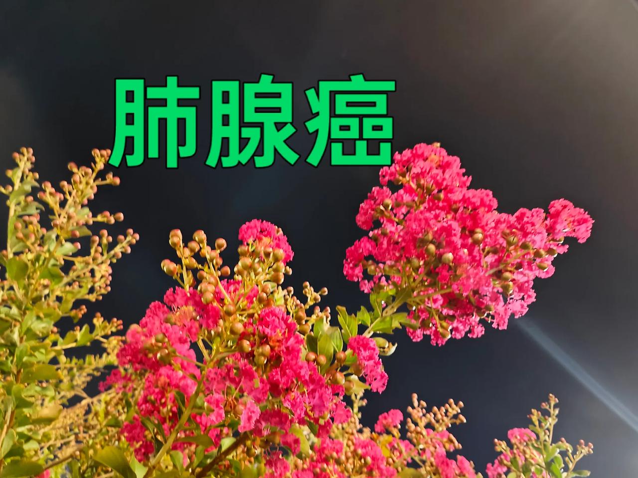 肺部磨玻璃结节，并不是一夜之间直接变成癌症。它是一步一步慢慢演变过来的，有一个很