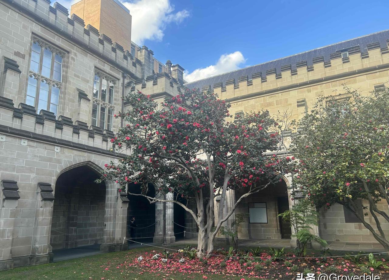 “出国前雅思6.5，落地却连点咖啡都张不开嘴”——别笑，65%的中国留学生都在这