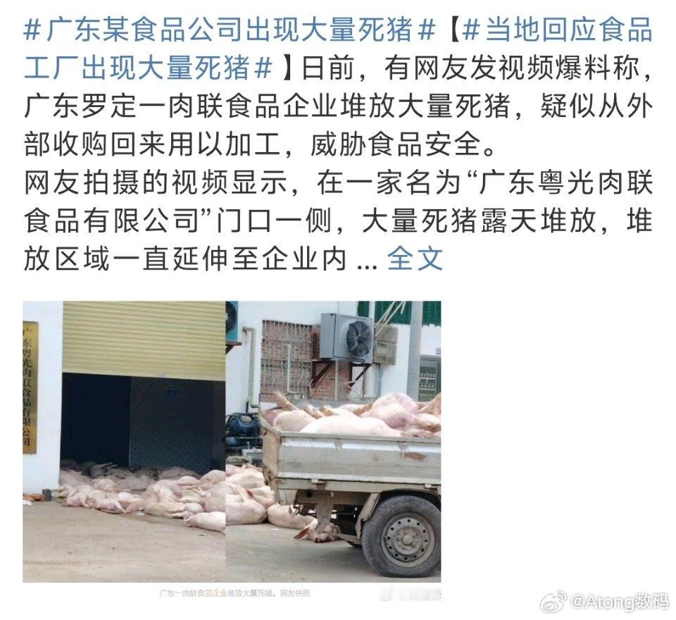 广东某食品公司出现大量死猪一生追求新鲜的老广天又要塌了死猪不会要做成我最爱的烤肠