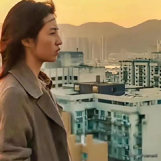 《捕风追影》实时票房截至10月8日15:30，《捕风追影》上映第54天，单
