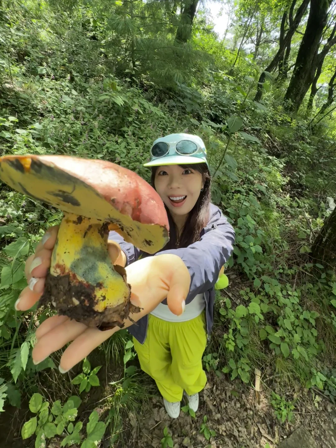 不用去云南！西安周边20℃森林徒步捡菌子🍄